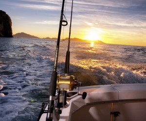 Pesca