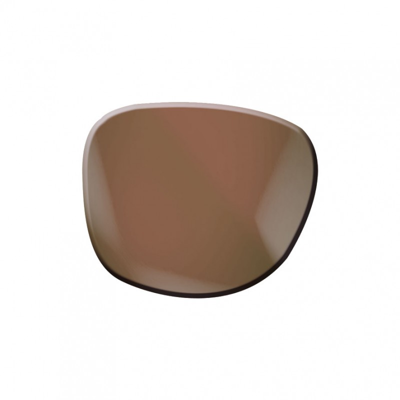 Lenti Di Ricambio Arnette Infamous 4076 &ndash; Marroni Polarizzate Personalizzate